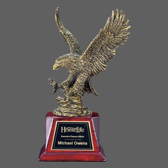 Bronze Eagle Landing award on base